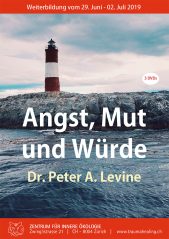 Levine - Angst, Mut und Würde