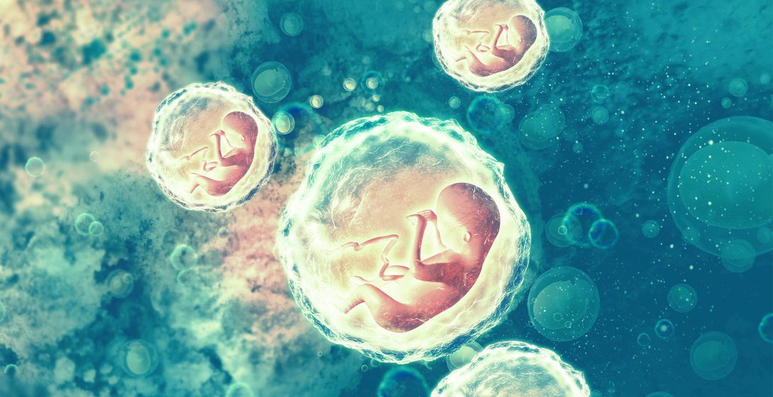 2025 Zangger Embryologie